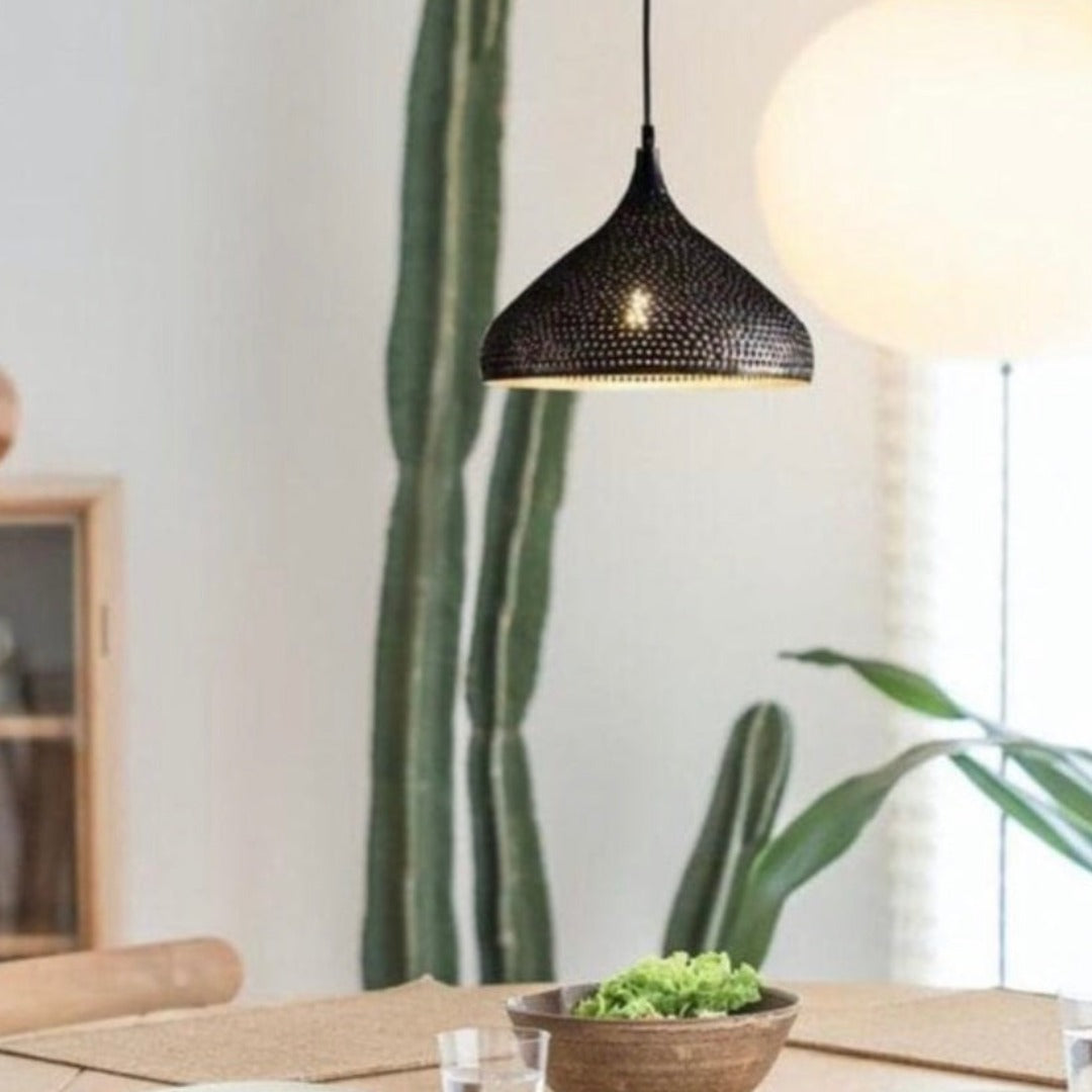 Black Dome Brass Light Fixture - Ref . 1806